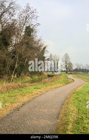 Asphaltierter Pfad mit einem Wald und einem Wasserstrahl am Rande inmitten von bebauten Feldern an einem bewölkten Tag in der italienischen Landschaft Stockfoto