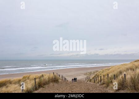 Drei Personen, die im Winter vom Strand in die Dünen in Noordwijk aan Zee, Niederlande, spazieren Stockfoto