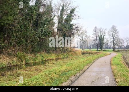 Asphaltierter Pfad mit einem Wald und einem Wasserstrahl am Rande inmitten von bebauten Feldern an einem bewölkten Tag in der italienischen Landschaft Stockfoto