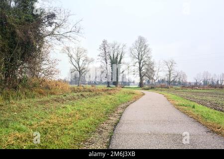 Asphaltierter Pfad mit einem Wald und einem Wasserstrahl am Rande inmitten von bebauten Feldern an einem bewölkten Tag in der italienischen Landschaft Stockfoto