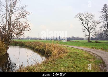 Asphaltierter Pfad mit einem Wald und einem Wasserstrahl am Rande inmitten von bebauten Feldern an einem bewölkten Tag in der italienischen Landschaft Stockfoto