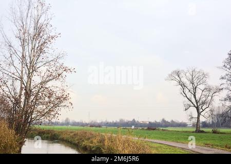 Asphaltierter Pfad mit einem Wald und einem Wasserstrahl am Rande inmitten von bebauten Feldern an einem bewölkten Tag in der italienischen Landschaft Stockfoto