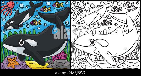 Killer Whale Coloring Page Farbige Illustration Stock Vektor