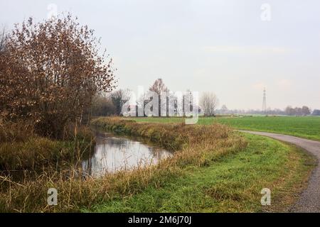 Asphaltierter Pfad mit einem Wald und einem Wasserstrahl am Rande inmitten von bebauten Feldern an einem bewölkten Tag in der italienischen Landschaft Stockfoto