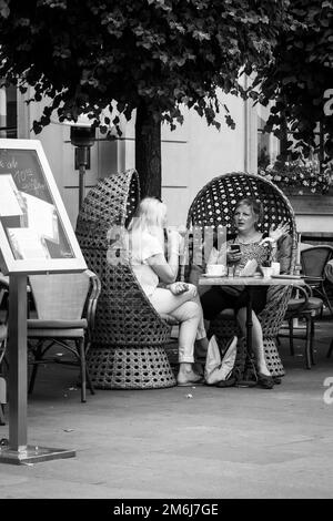 Gäste, die in Dresden, Sachsen, im Schatten eines Baumes im Freien in Korbstühlen sitzen, genießen ruhige Drinks und Mittagessen Stockfoto