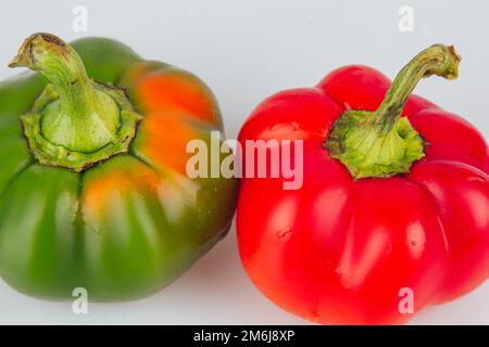 Paprika. Pfeffer isoliert auf weißem und grauem Hintergrund. Roter und grüner Pfeffer. Mit Beschneidung der Bahn. Nahaufnahme Makrofoto Stockfoto