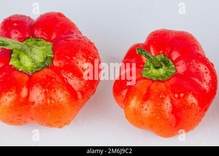 Rote frische Paprika, isoliert mit Wassertropfen auf weißem Hintergrund. Frische, reife, bunte Paprika als Hintergrund, Nahaufnahme Stockfoto