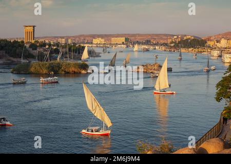 Felukenboote auf dem Nil in Assuan Stockfoto