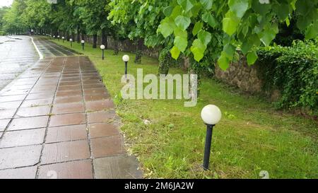 Bürgersteig mit Betonplatten, nass vom Regen, Laternen und Bäumen entlang der Gasse an einem bewölkten Sommerregnertag in einem Stadtpark A. Stockfoto