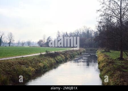 Asphaltierter Pfad mit einem Wald und einem Wasserstrahl am Rande inmitten von bebauten Feldern an einem bewölkten Tag in der italienischen Landschaft Stockfoto
