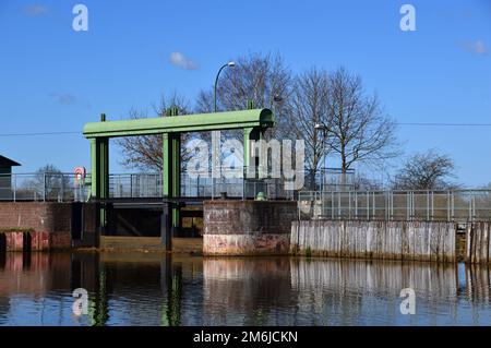 Damm am Fluss Aller im Frühling im Dorf Hademstorf, Niedersachsen Stockfoto