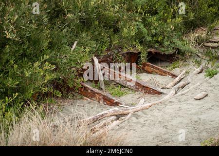 Ein rostiges Schiffswrack, das im Sand vergraben und von der Vegetation zurückgewonnen wurde Stockfoto