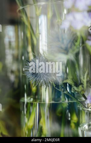 Blumenladen-Konzept. Verschiedene frische Frühlingsblumen im Kühlschrankraum für Blumen in der Nähe. Blumensträuße im Regal, Blumenhändler Stockfoto