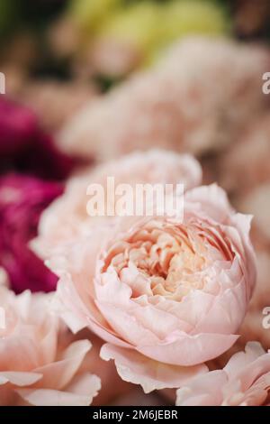 Blumenladen-Konzept. Verschiedene frische Frühlingsblumen im Kühlschrankraum für Blumen in der Nähe. Blumensträuße im Regal, Blumenhändler Stockfoto