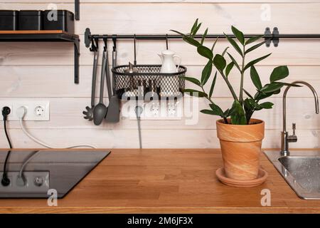 Küchenutensilien aus Messing, Küchenzubehör. Hängeküche mit weißen Fliesen an der Wand und Holztisch. Grüne Pflanze auf Küchenrückseite Stockfoto