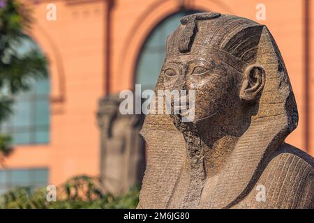 Kairo, Ägypten - 13. November 2021: Sphynx-Statue im Kairo Museum in Kairo, Ägypten Stockfoto