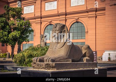 Kairo, Ägypten - 13. November 2021: Sphynx-Statue im Kairo Museum in Kairo, Ägypten Stockfoto