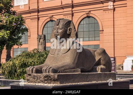 Kairo, Ägypten - 13. November 2021: Sphynx-Statue im Kairo Museum in Kairo, Ägypten Stockfoto