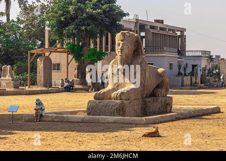 Memphis, Ägypten - 14. November 2021: Sphinx-Statue der Königin Hatschepsut in der antiken Stadt Memphis, Ägypten Stockfoto