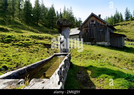 alpenkabine und Wassertrog am Fuße des Dachsteins im Alpendorf Neustatt Alm in den österreichischen Alpen in Steiermark Stockfoto