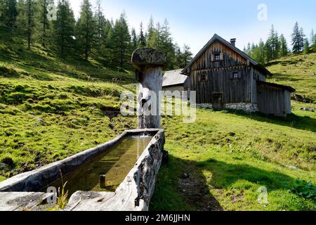 alpenkabine und Wassertrog am Fuße des Dachsteins im Alpendorf Neustatt Alm in den österreichischen Alpen in Steiermark Stockfoto