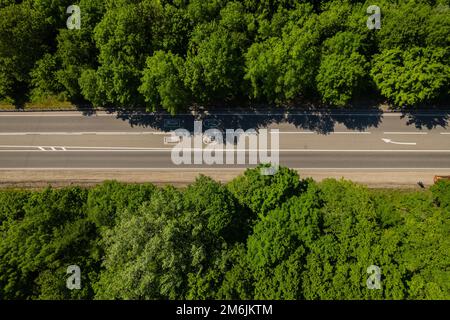 Straße durch den grünen Wald, Panoramafahrt durch den Wald, von oben nach unten schauender Wald, Blick von oben, Ökosystem und Stockfoto