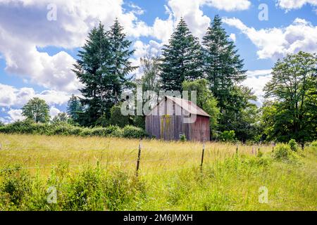 Eine alte wackelige Holzscheune steht am Rande einer Wiese mit grünem Gras, als würde man die Besitzer daran erinnern, dass sie, obwohl alt, auf jeden Fall in han kommen wird Stockfoto