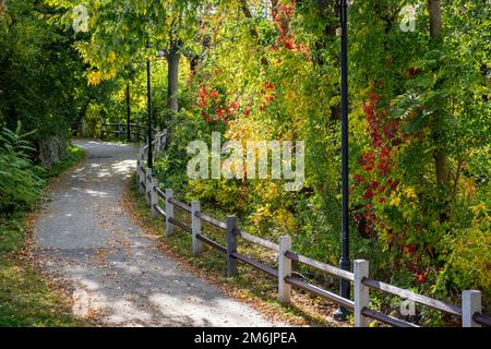 Eine überwältigende Landschaft mit einem Fußweg durch einen Laubwald mit fallendem Laub lädt Reisende und Touristen ein, die die Schönheit des Herbstes zu genießen Stockfoto