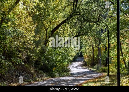 Eine überwältigende Landschaft mit einem Fußweg durch einen Laubwald mit fallendem Laub lädt Reisende und Touristen ein, die die Schönheit des Herbstes zu genießen Stockfoto