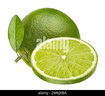 Lime Zitrusfrucht isoliert auf weißem Hintergrund Stockfoto
