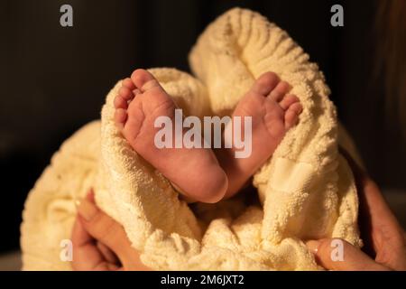 Weibliche Masseurin, die Babymassage für Säuglingskind durchführt. Stockfoto