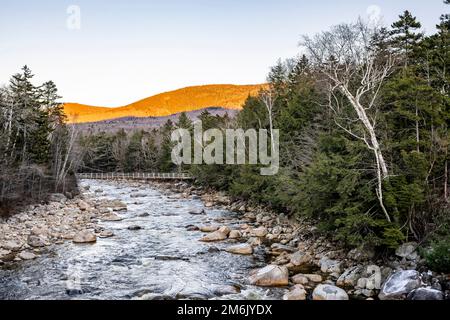 Eine faszinierende farbenfrohe stimmungsvolle Landschaft mit Fußgängerbrücke über den felsigen Bergfluss und Winter Maple Grove mit heruntergefallenen Blättern in der Sonne Stockfoto