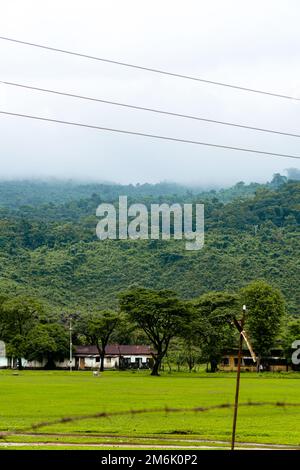 Natürliche Landschaft mit Feld und Bergen Niladri Lake Sunamganj Sylhet Bangladesch Stockfoto