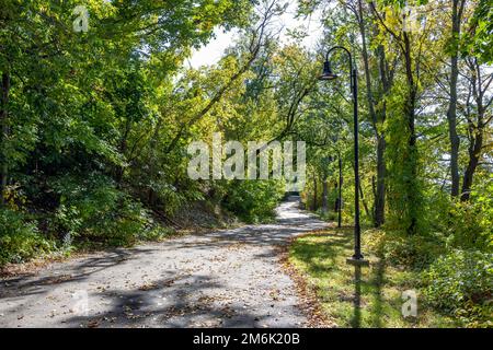 Eine überwältigende Landschaft mit einem Fußweg durch einen Laubwald mit fallendem Laub lädt Reisende und Touristen ein, die die Schönheit des Herbstes zu genießen Stockfoto