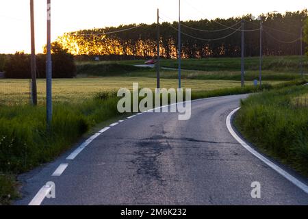 Ländliche Straße in Gerste Getreideernte Feld im Frühjahr Stockfoto