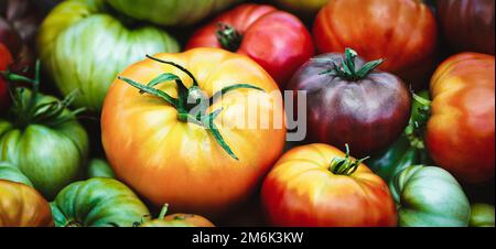 Hausgemachte Tomaten, frisches, farbenfrohes Bio-Gemüse, sommerliche Lebensmittel Hintergrund, gesunde Ernährung Stockfoto
