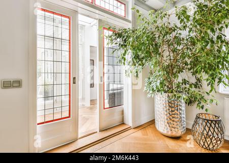 Eine Pflanze in einer Vase neben einer weißen Tür mit roter Verzierung an Glas und Seitenfenstern Stockfoto