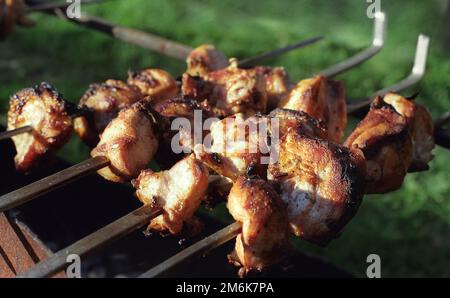 Picknick im Freien; einige Fleischstücke auf einem Brazier gegrillt Stockfoto