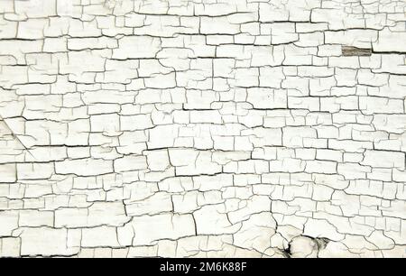 Gerissene weiße Farbstruktur auf altem Holz. Kann als Hintergrund oder als Textur verwendet werden. Stockfoto