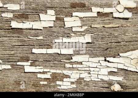 Gerissene weiße Farbstruktur auf altem Holz. Kann als Hintergrund oder als Textur verwendet werden. Stockfoto