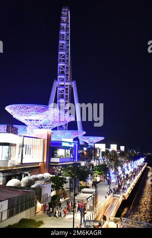 Ain Dubai auf Bluewaters Island in Dubai, Vereinigte Arabische Emirate Stockfoto