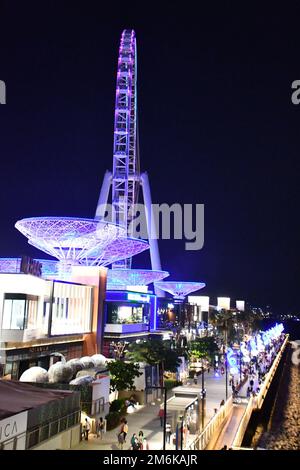 Ain Dubai auf Bluewaters Island in Dubai, Vereinigte Arabische Emirate Stockfoto