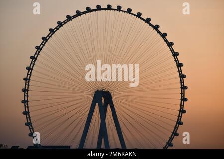 Ain Dubai auf Bluewaters Island in Dubai, Vereinigte Arabische Emirate Stockfoto