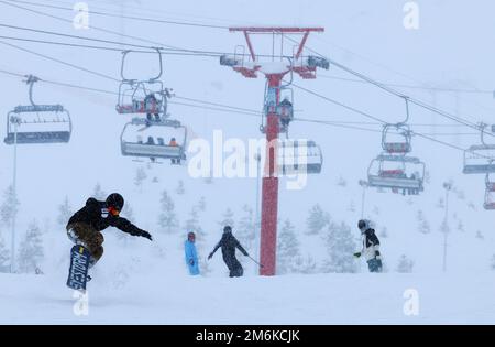 ALTAY, CHINA - 4. JANUAR 2023 - Touristen fahren Ski im Jiangjun Mountain International Ski Resort in Altay, dem autonomen Skigebiet Xinjiang Uygur im Nordwesten Chinas Stockfoto