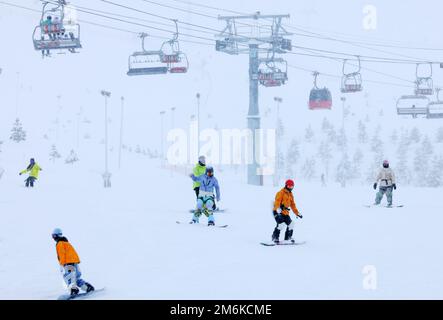 ALTAY, CHINA - 4. JANUAR 2023 - Touristen fahren Ski im Jiangjun Mountain International Ski Resort in Altay, dem autonomen Skigebiet Xinjiang Uygur im Nordwesten Chinas Stockfoto