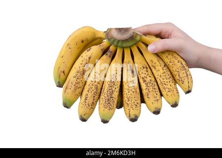 Bananenfoto, gelbe Bananen, Banane auf weißem Hintergrund Stockfoto