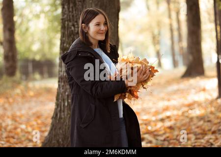 Porträt einer jungen lächelnden Frau, die im Wald herumläuft, einen riesigen Haufen gelber gefallener Blätter in der Hand hält und Spaß hat. Stockfoto