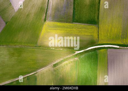 Die geografische Zusammensetzung der Anbauflächen Stockfoto