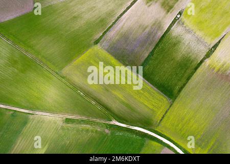 Die geografische Zusammensetzung der Anbauflächen Stockfoto