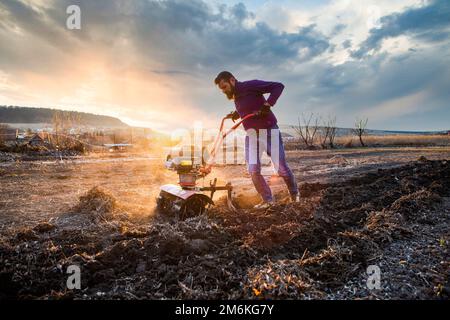 Ökologischer Landbau der Mensch kultiviert den Boden bei Sonnenuntergang mit einer Deichsel, die den Boden für die Aussaat vorbereitet Stockfoto